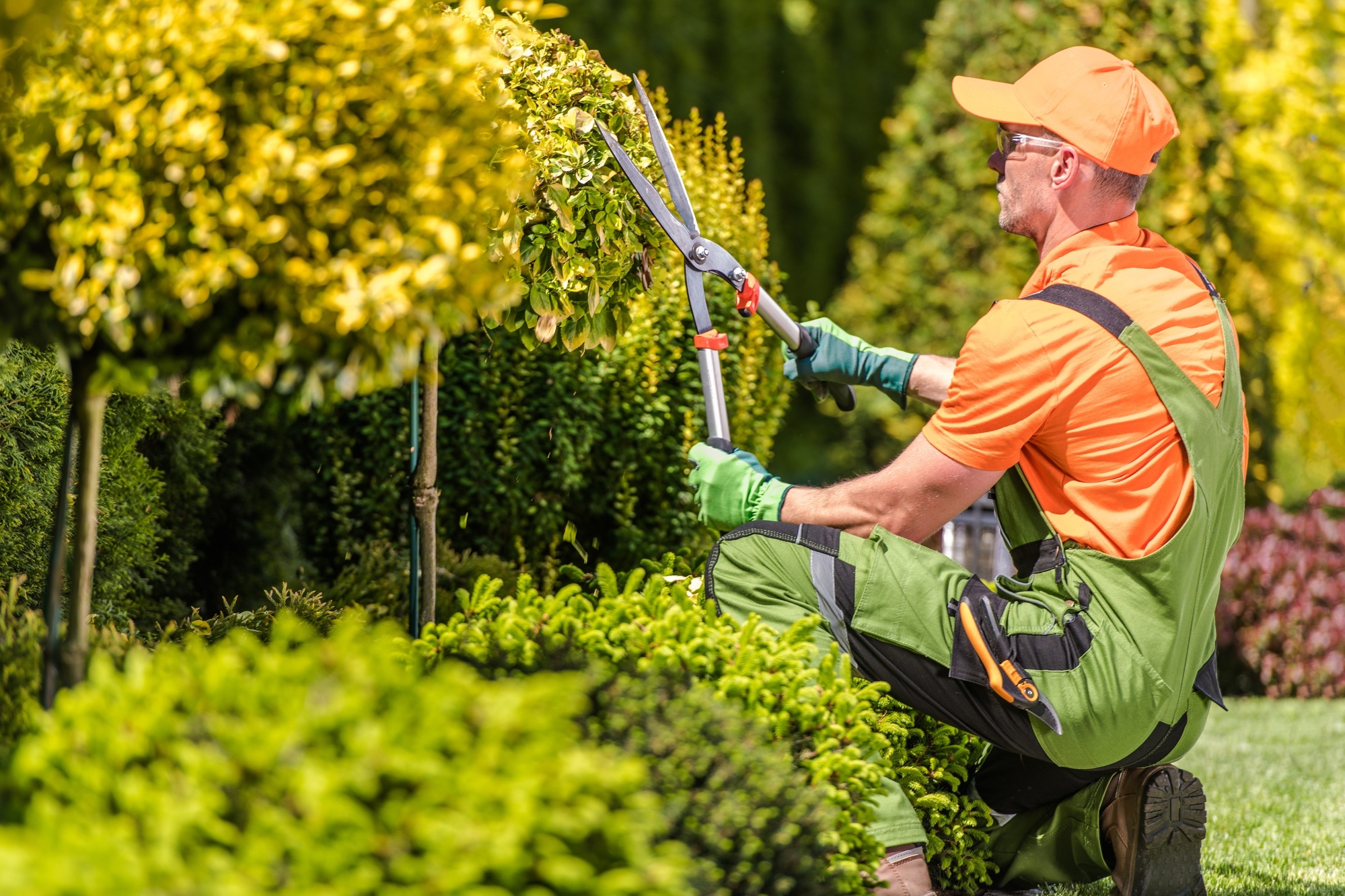 The Benefits of Professional Landscaping for Rental Properties
